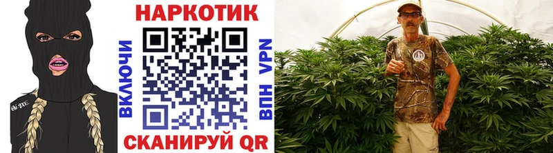 Сколько стоит Катайск A-PVP  mega вход  КОКАИН  Псилоцибиновые грибы 